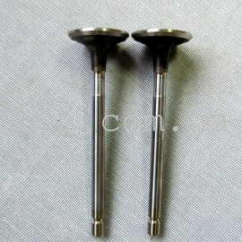 Клапан Богдан випуск 4HG1....4HE1 /4шт/кт